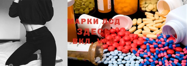 дживик Надым