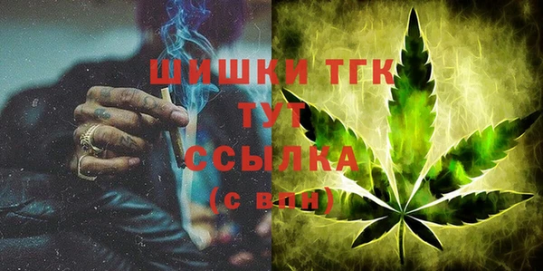 ГАЛЛЮЦИНОГЕННЫЕ ГРИБЫ Тавда