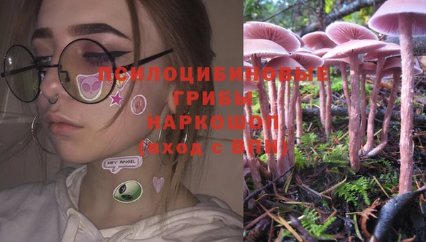 индика Навашино