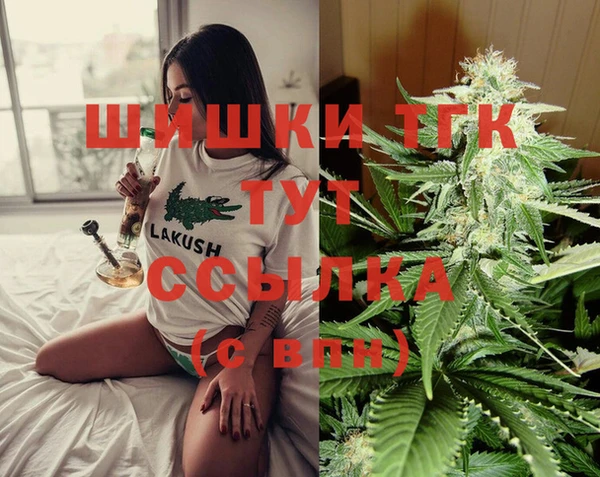 индика Навашино