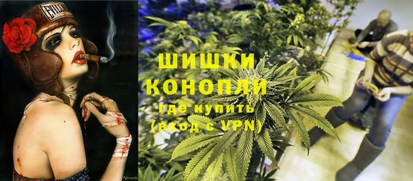 PSILOCYBIN Михайлов