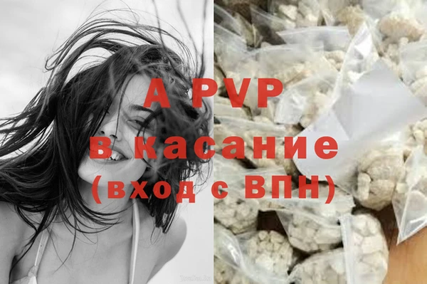 PSILOCYBIN Михайлов