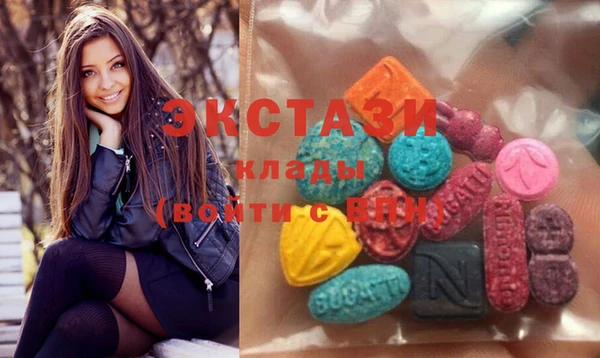 дживик Надым