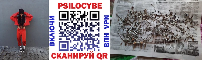 купить Касли Псилоцибиновые грибы Psilocybe