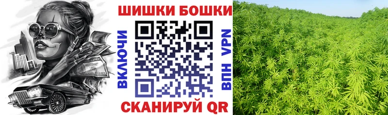 Канабис ГИДРОПОН  наркота  Касли 